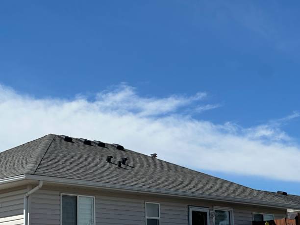 Best Gutter Installation and Repair  in Shelburn, IN